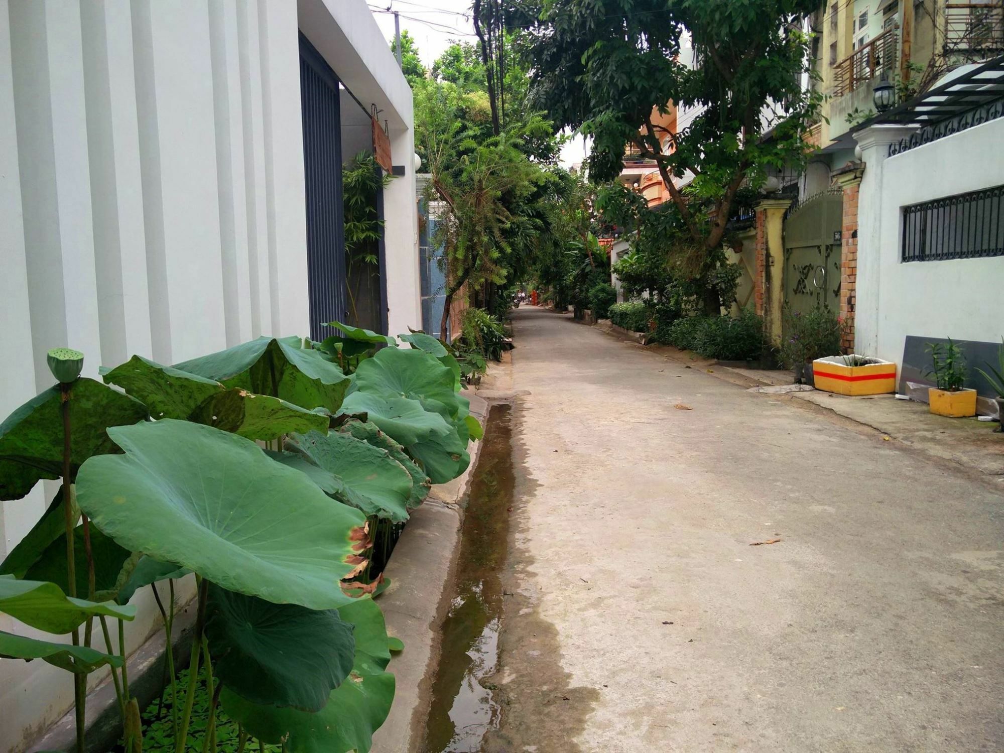 अपार्टमेंट Sen Boutique House Ho Chi Minh City